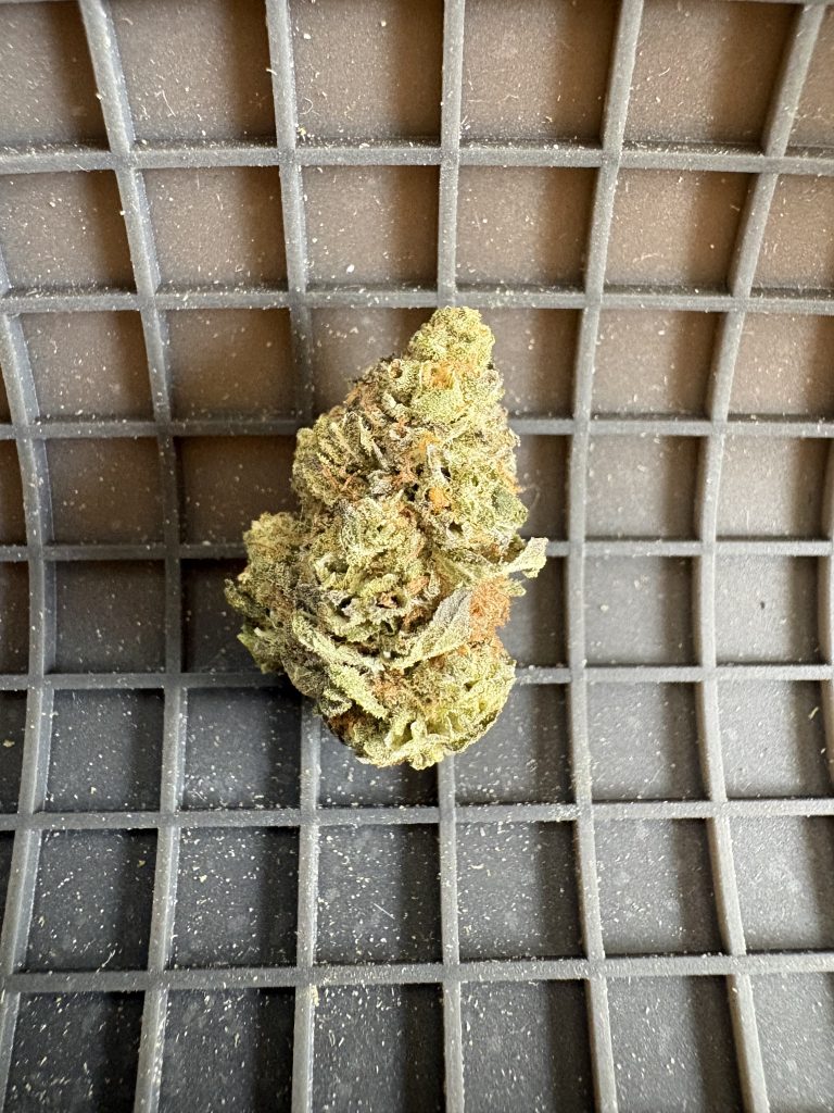 🏡 Greenhouse black cherry punch