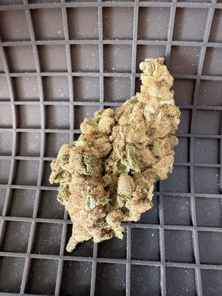 ☀️ Outdoor carlic cookies outd