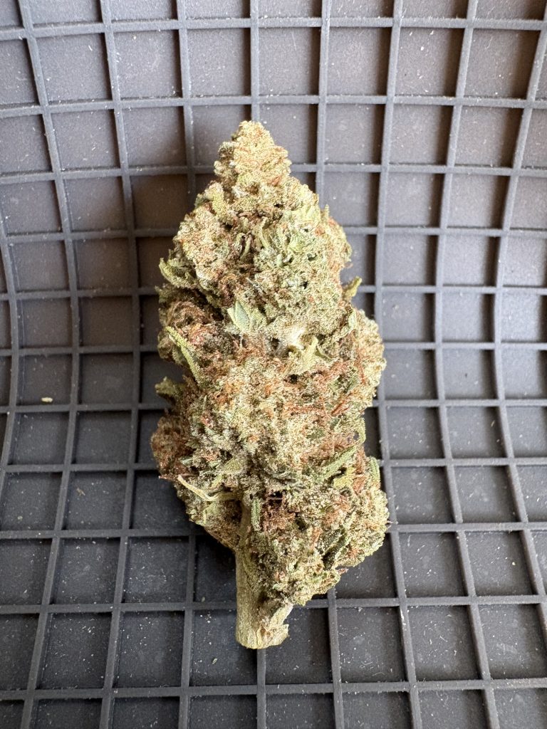 🏡 Greenhouse cobra milk gh