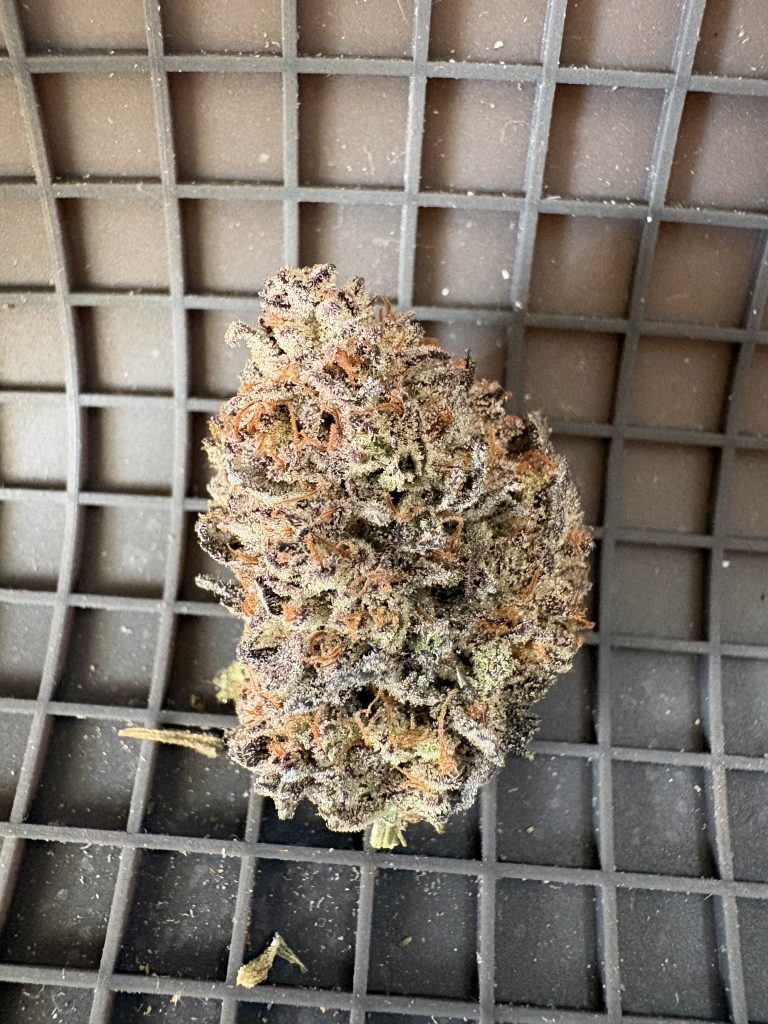 fruitking ind