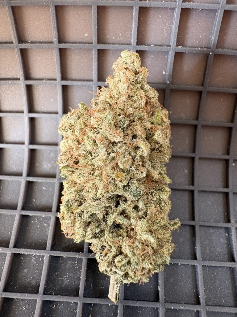 gmo