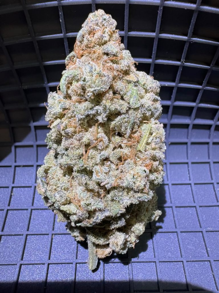 gazzurple