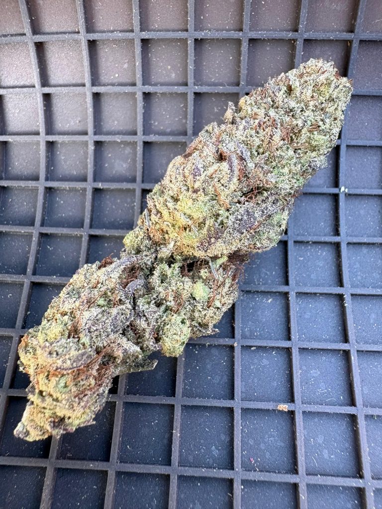 🏡 Greenhouse kings sherbet gh