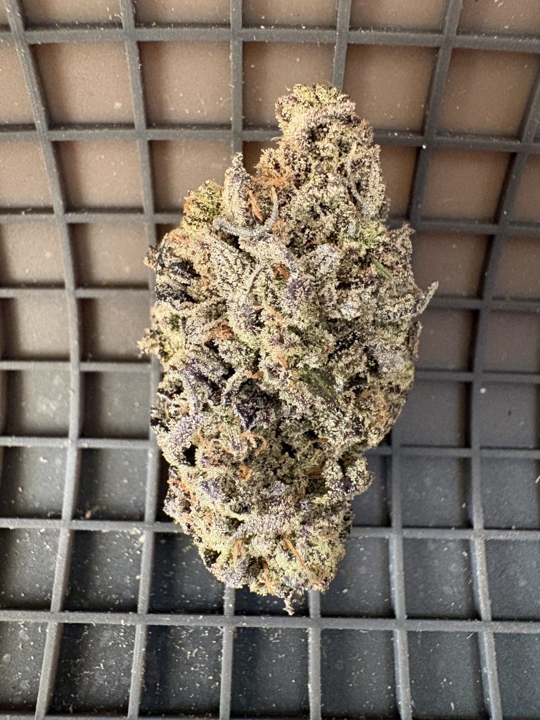 lemon orange ind
