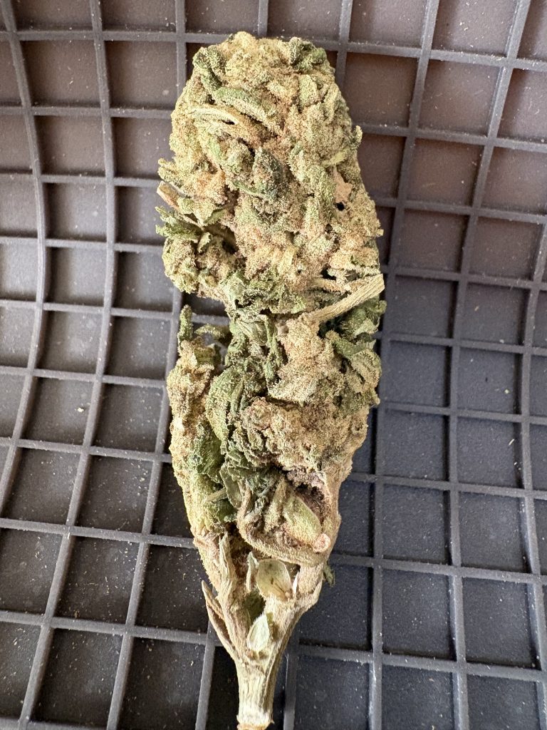 ☀️ Outdoor power plant outd