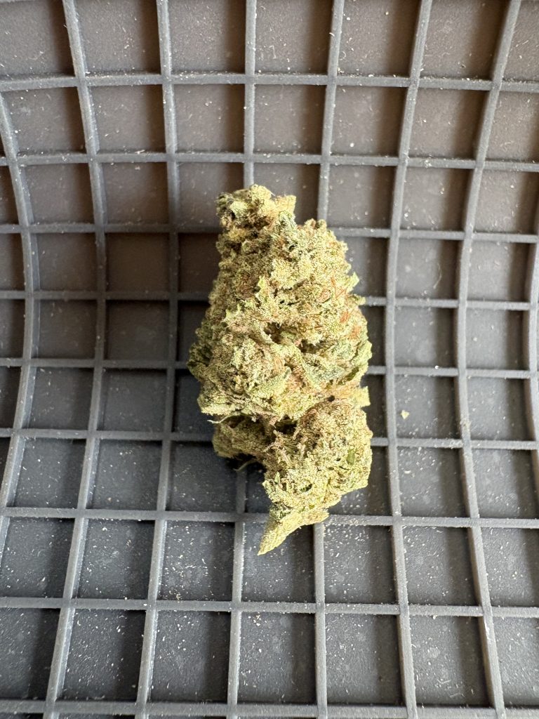 🏡 Greenhouse sugar cookies gh