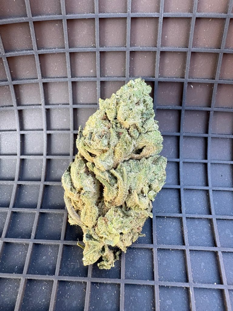 ☀️ Outdoor sweet milk od